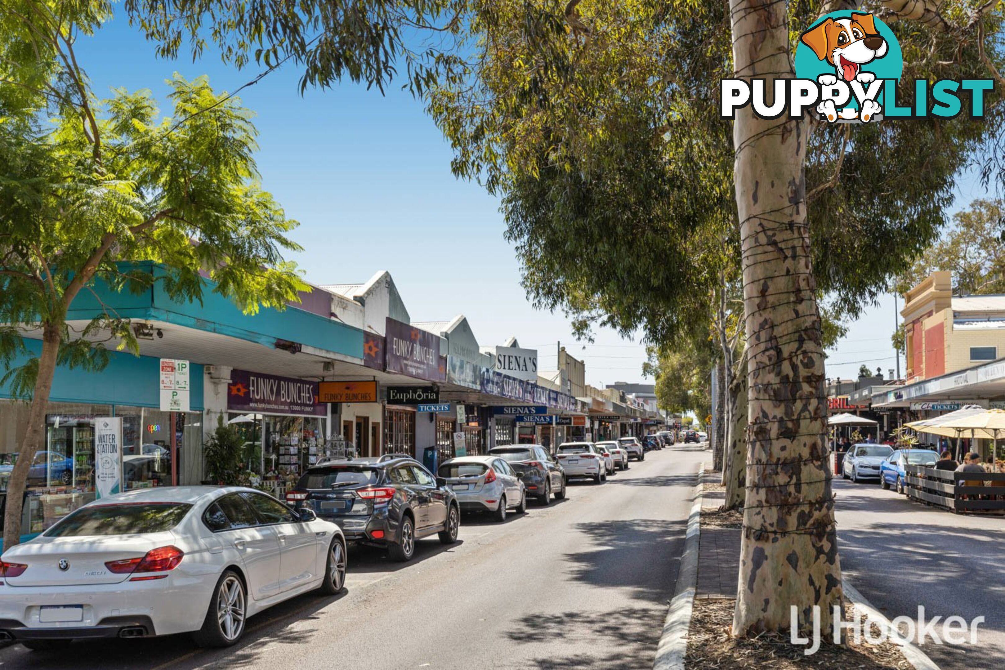 Unit 8/4 Kingston Avenue WEST PERTH WA 6005