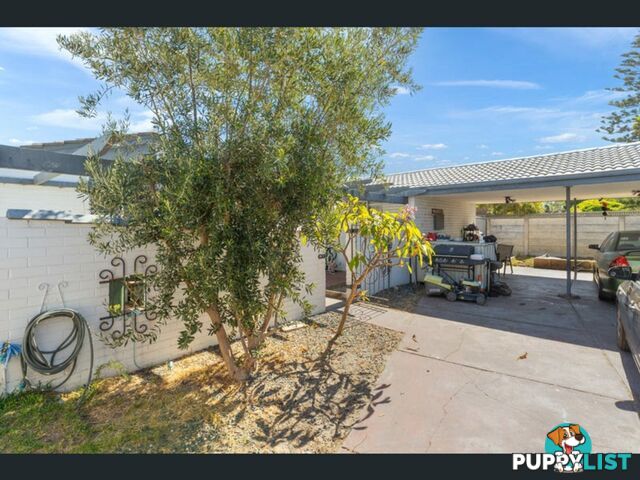 19 Columbia Close ROCKINGHAM WA 6168