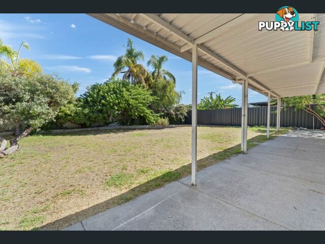 19 Columbia Close ROCKINGHAM WA 6168