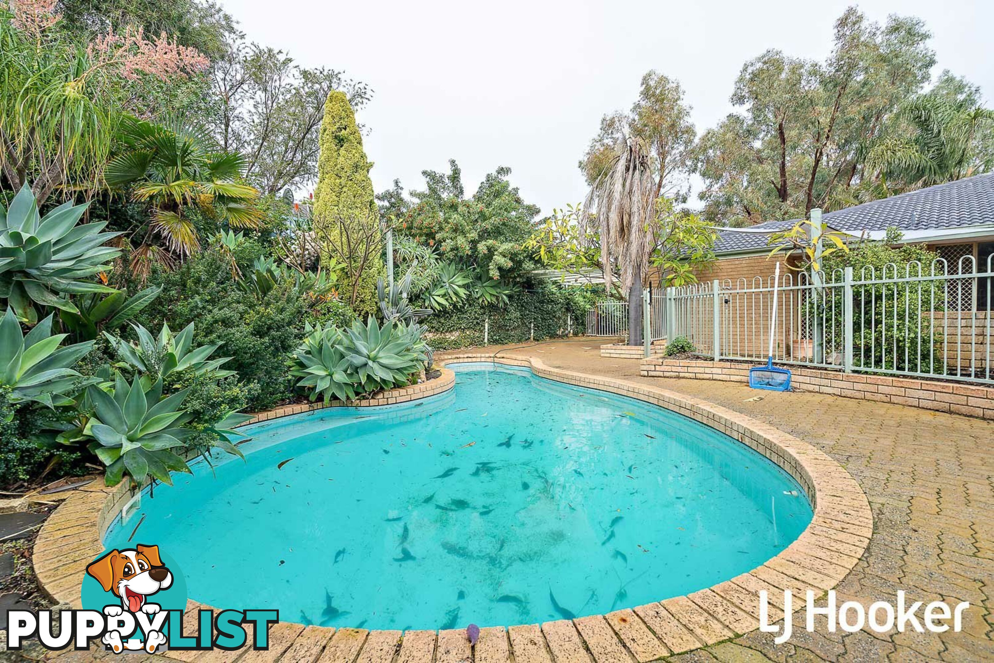 9 Povey Place PARMELIA WA 6167