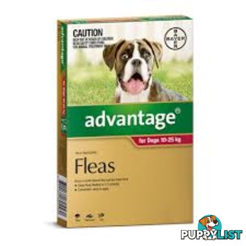 ADVANTAGE FOR DOGS 10-25KG 4PK - www.thepethouse.com.au