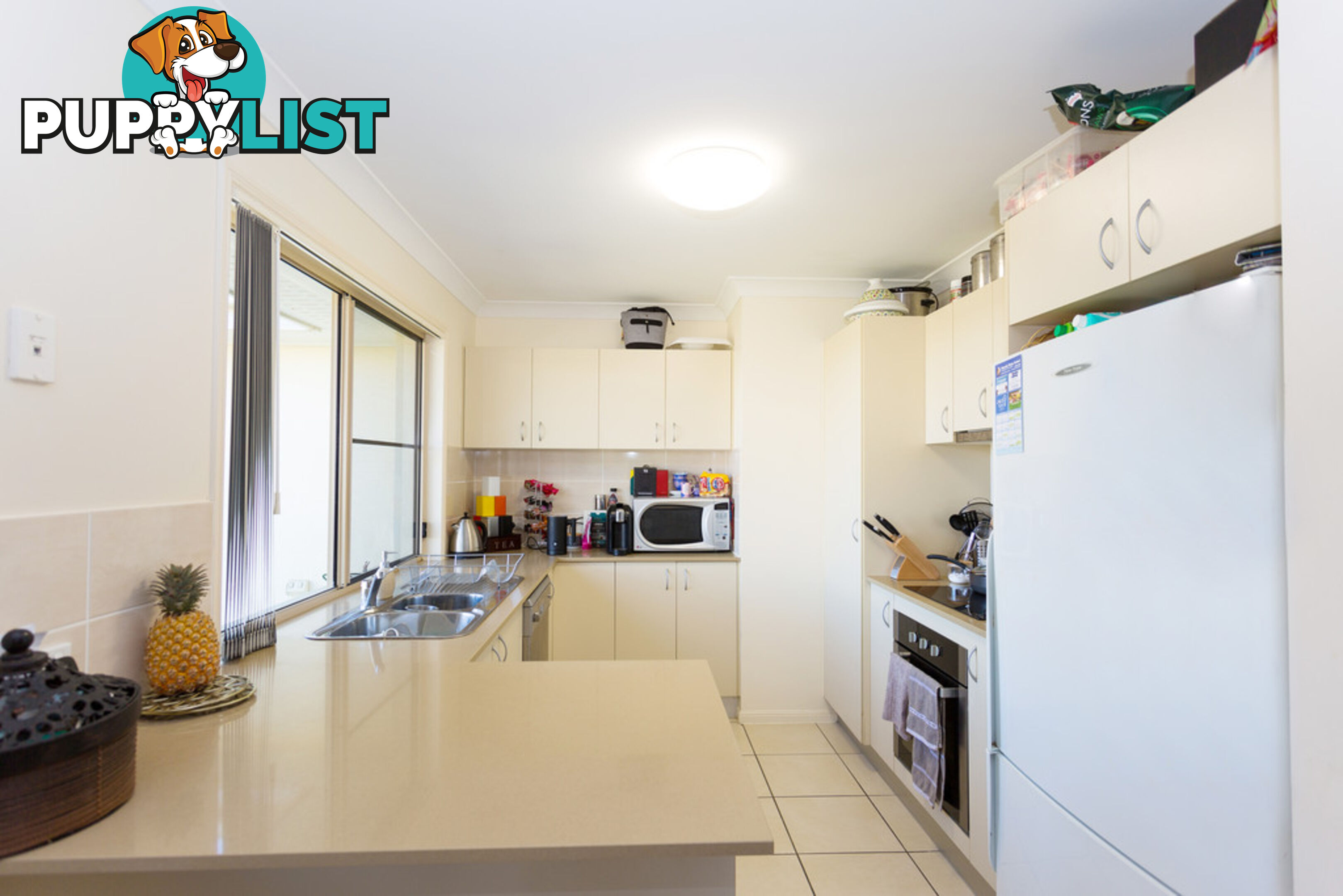 49 Schooner Avenue BUCASIA QLD 4750