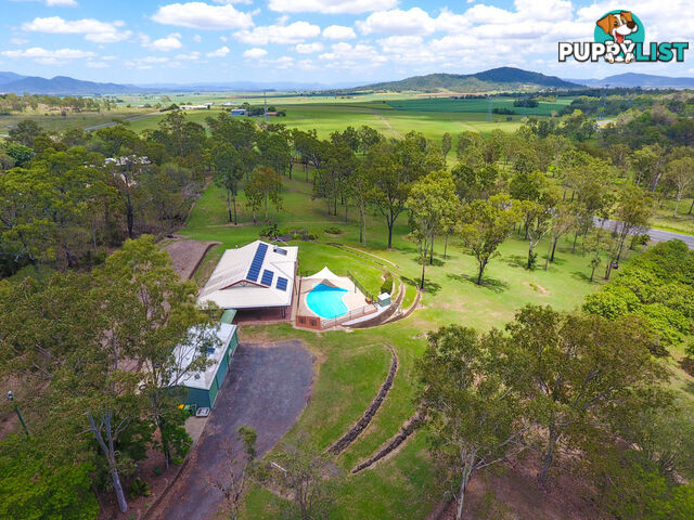 32 Greenmount Drive VICTORIA PLAINS QLD 4751