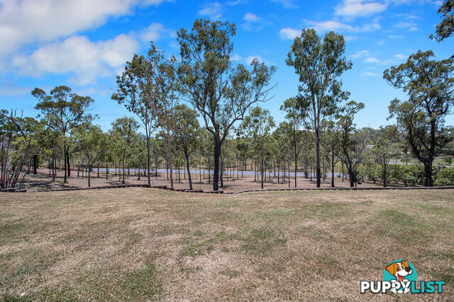 32 Greenmount Drive VICTORIA PLAINS QLD 4751