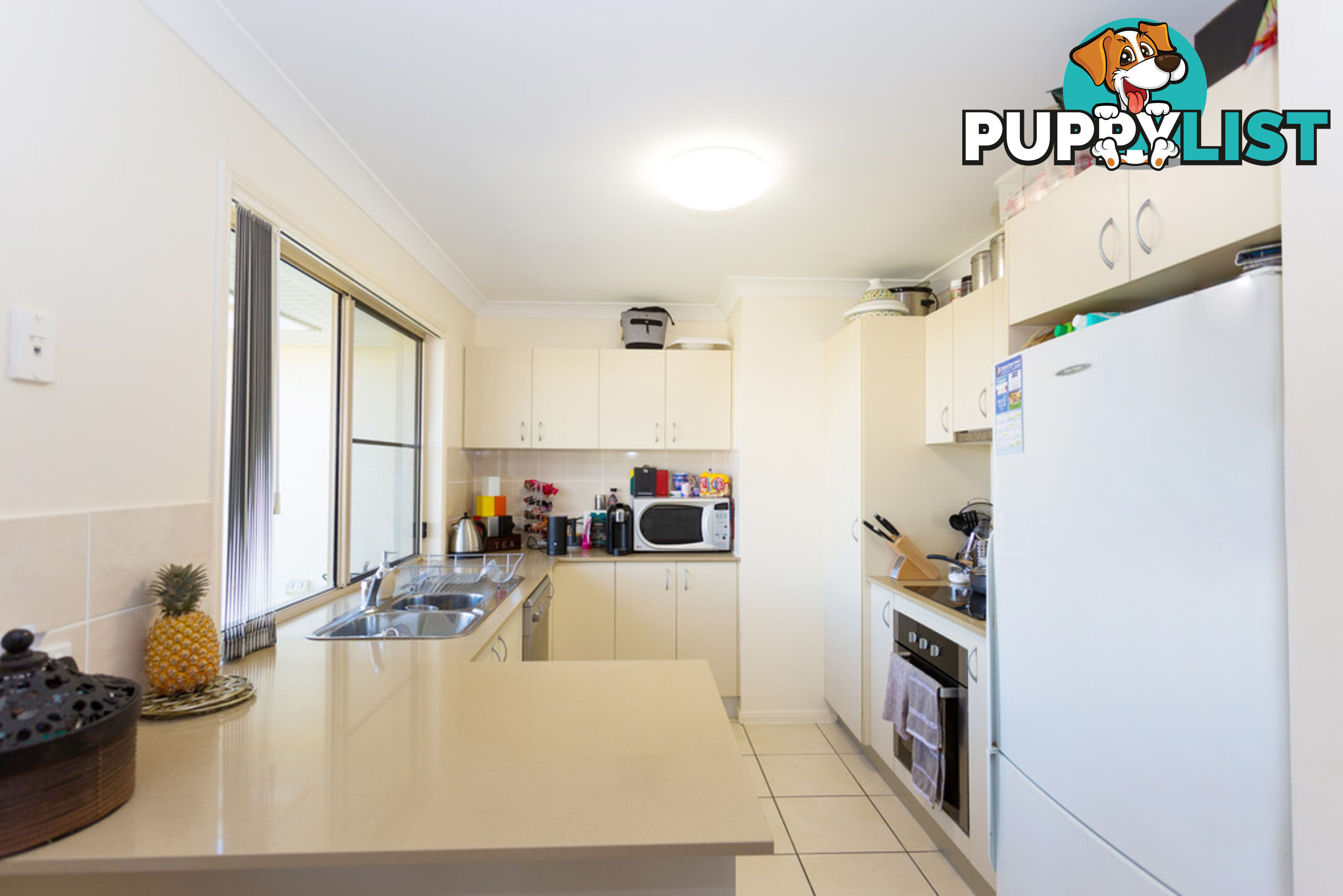 49 Schooner Avenue BUCASIA QLD 4750