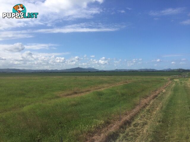 450 Kinchant Dam Road KINCHANT DAM QLD 4741