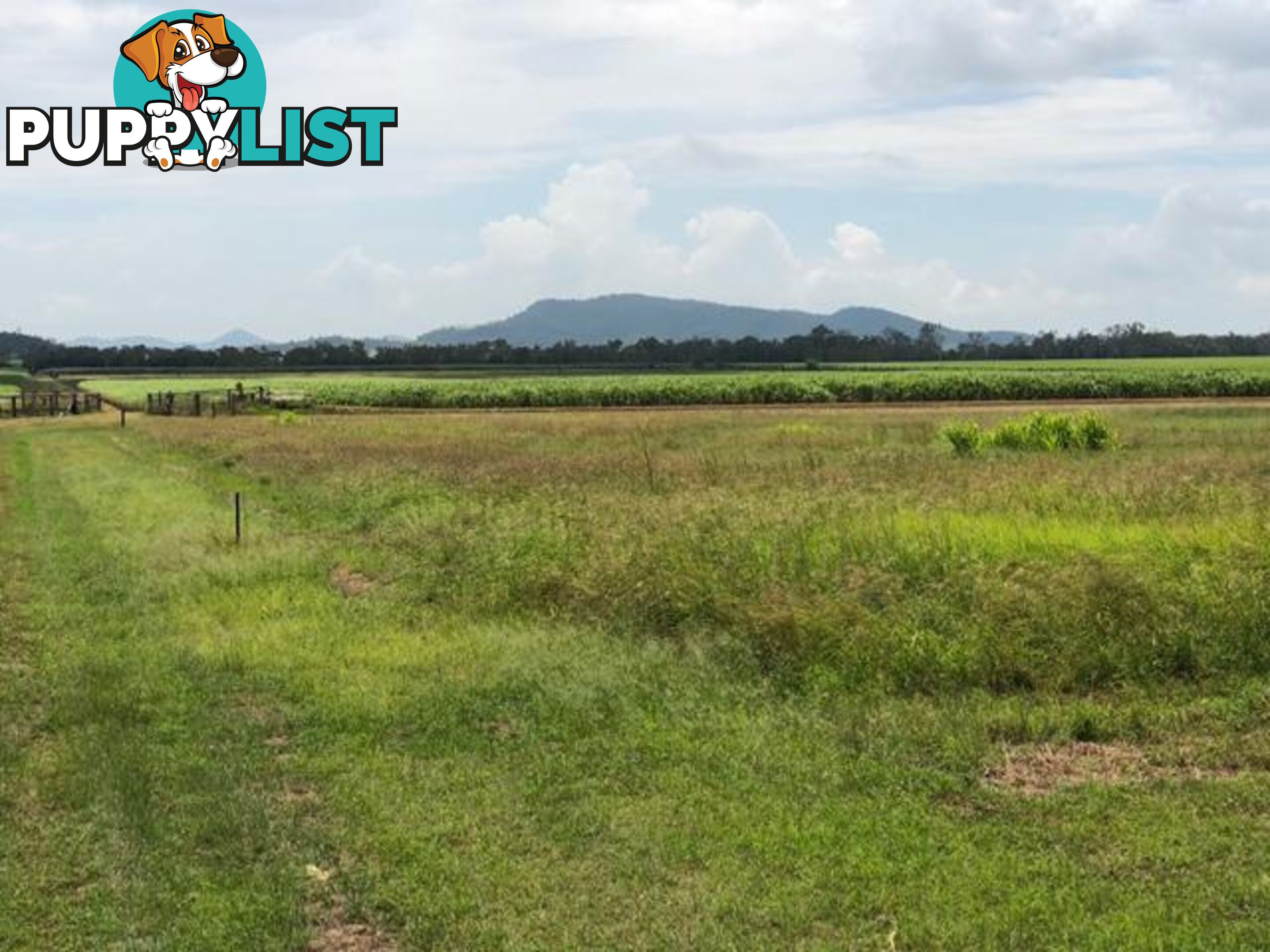 450 Kinchant Dam Road KINCHANT DAM QLD 4741