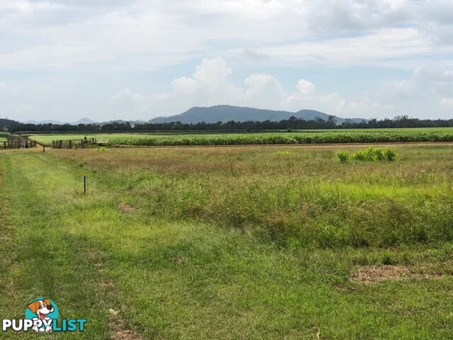 450 Kinchant Dam Road KINCHANT DAM QLD 4741