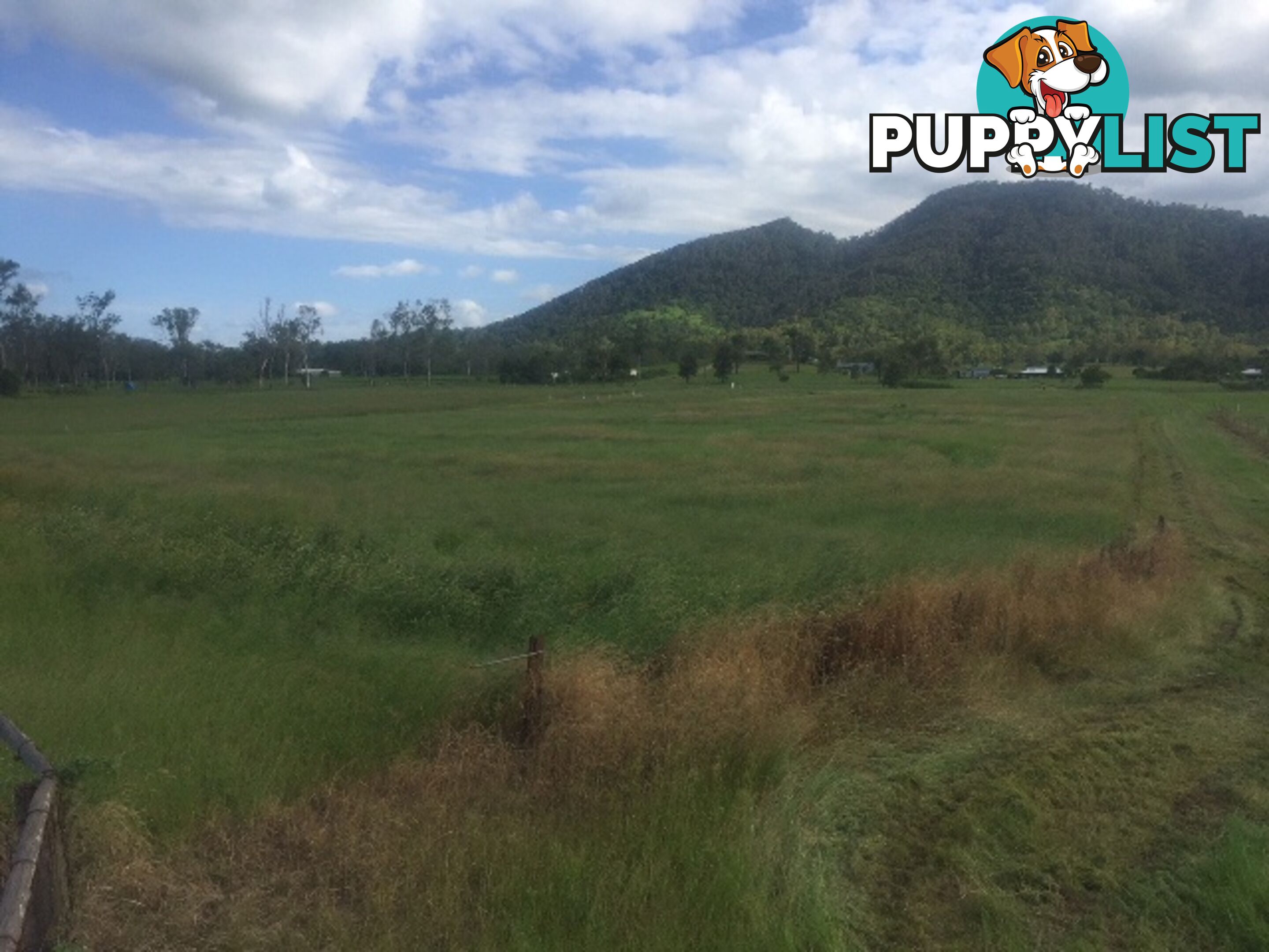 450 Kinchant Dam Road KINCHANT DAM QLD 4741