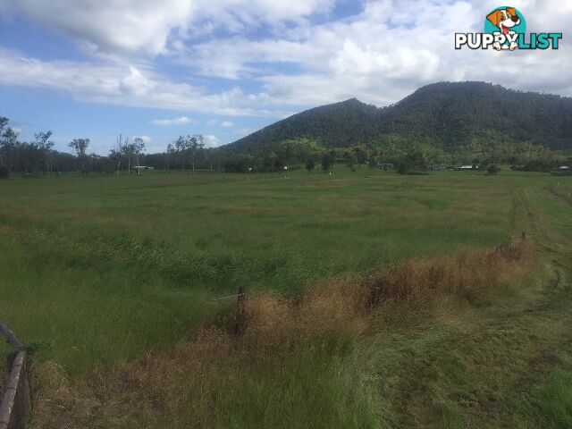 450 Kinchant Dam Road KINCHANT DAM QLD 4741