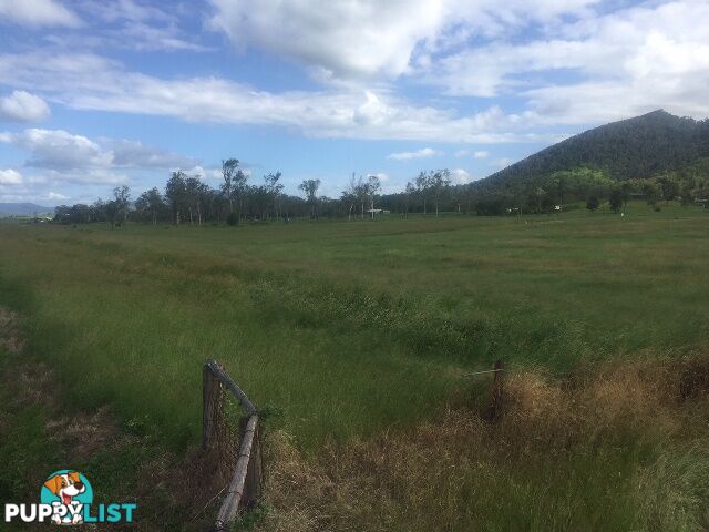 450 Kinchant Dam Road KINCHANT DAM QLD 4741