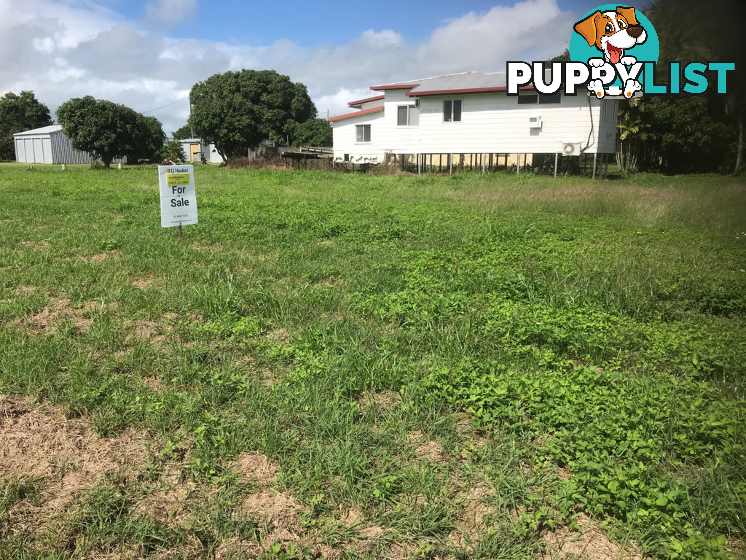 Lot 1 Palms Road ALEXANDRA QLD 4740