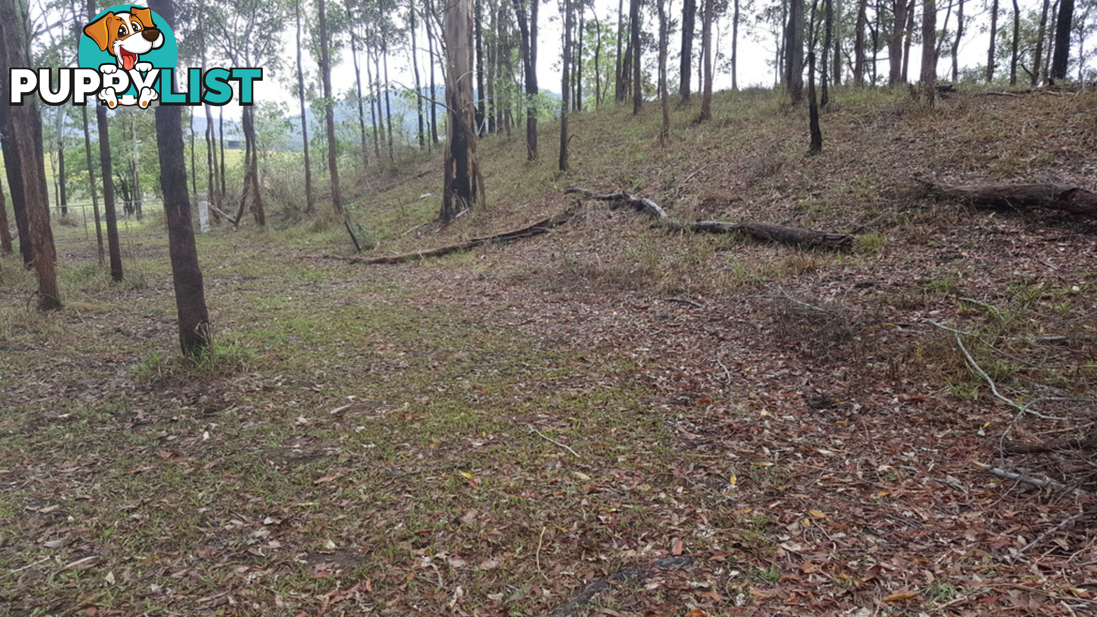 Lot 166 Woods Road DOWS CREEK QLD 4754