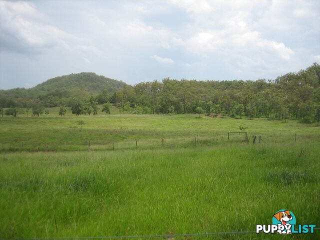 Lot 166 Woods Road DOWS CREEK QLD 4754