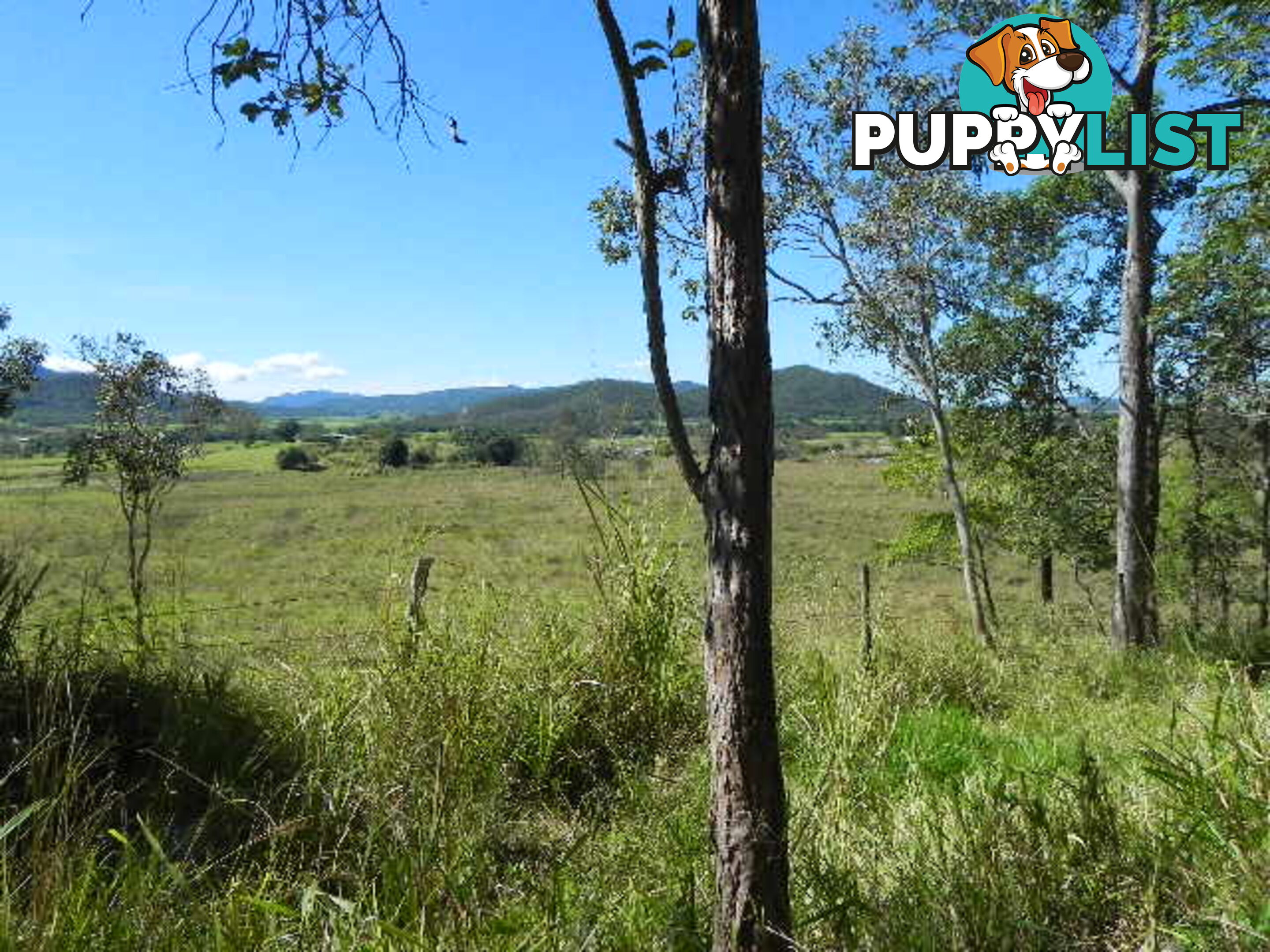 Lot 166 Woods Road DOWS CREEK QLD 4754