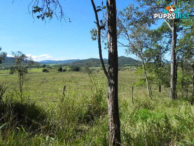 Lot 166 Woods Road DOWS CREEK QLD 4754