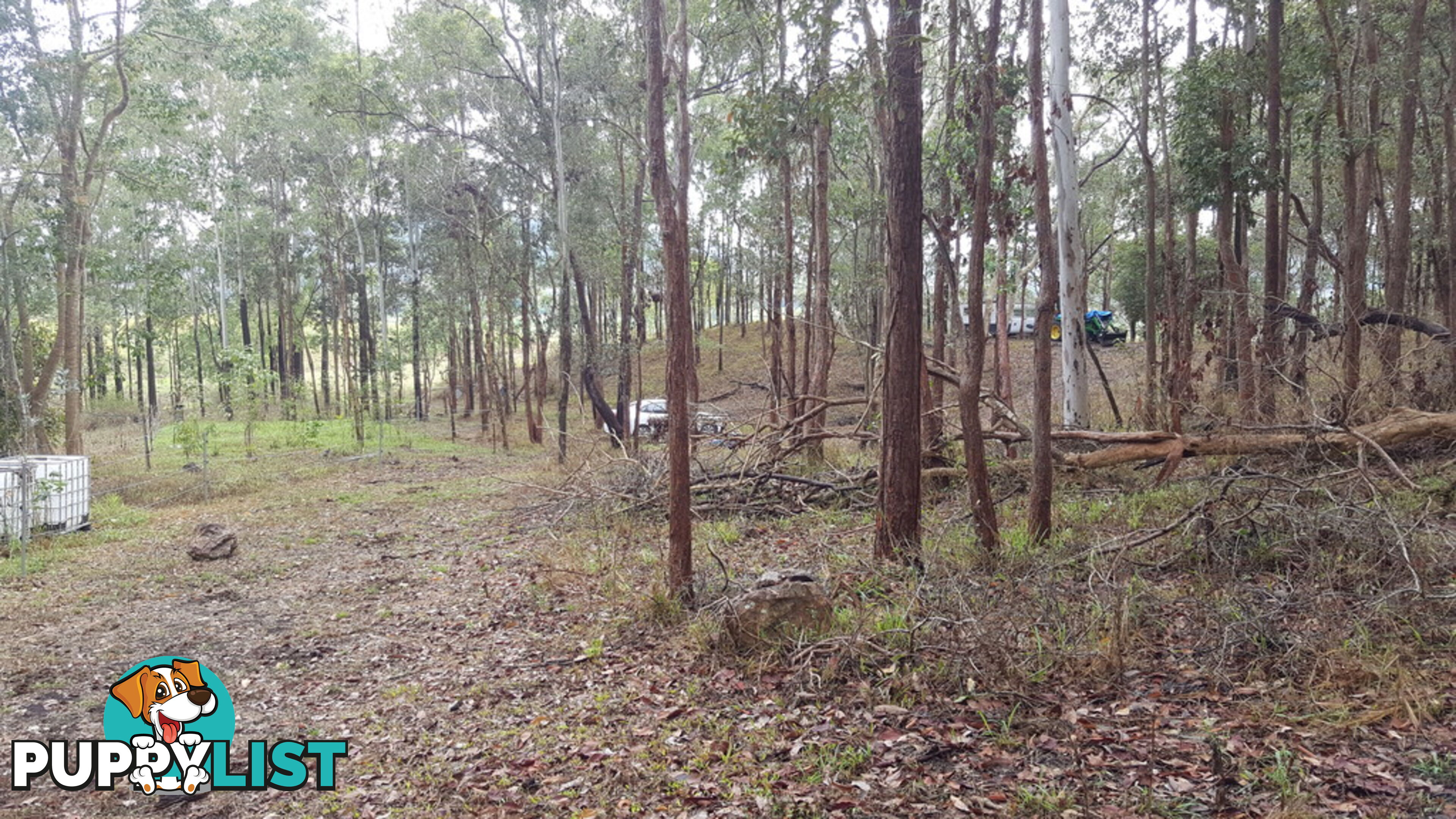 Lot 166 Woods Road DOWS CREEK QLD 4754