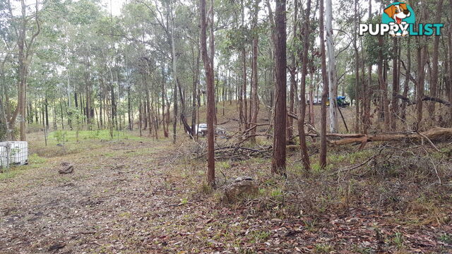 Lot 166 Woods Road DOWS CREEK QLD 4754