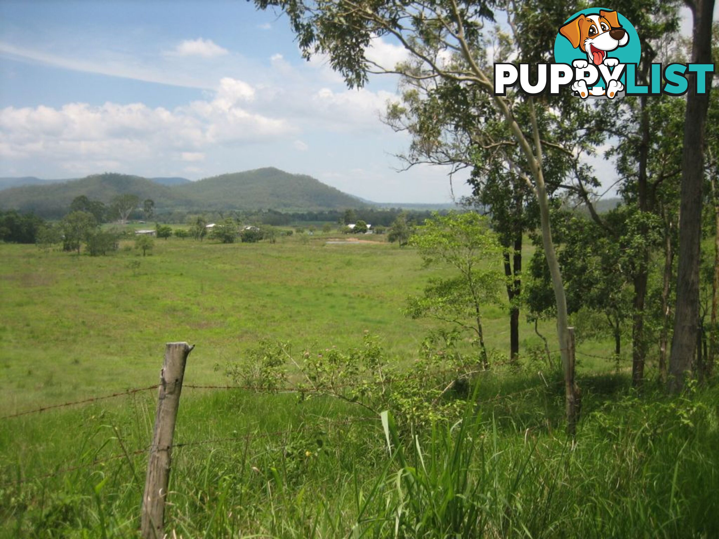 Lot 166 Woods Road DOWS CREEK QLD 4754