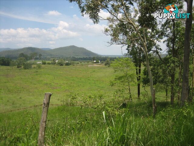 Lot 166 Woods Road DOWS CREEK QLD 4754