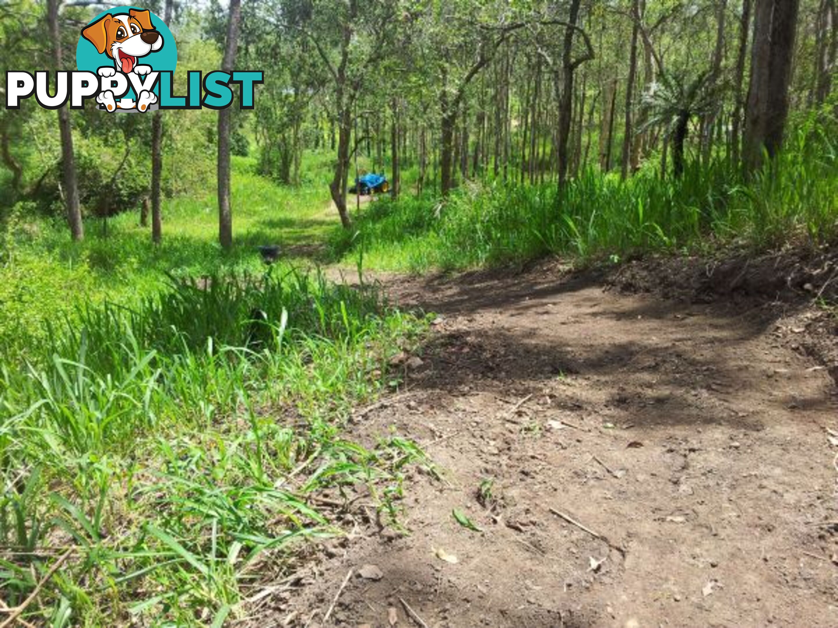 Lot 166 Woods Road DOWS CREEK QLD 4754