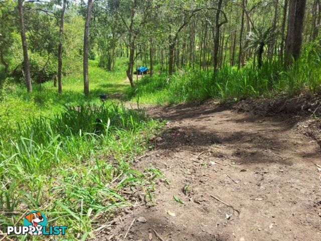 Lot 166 Woods Road DOWS CREEK QLD 4754