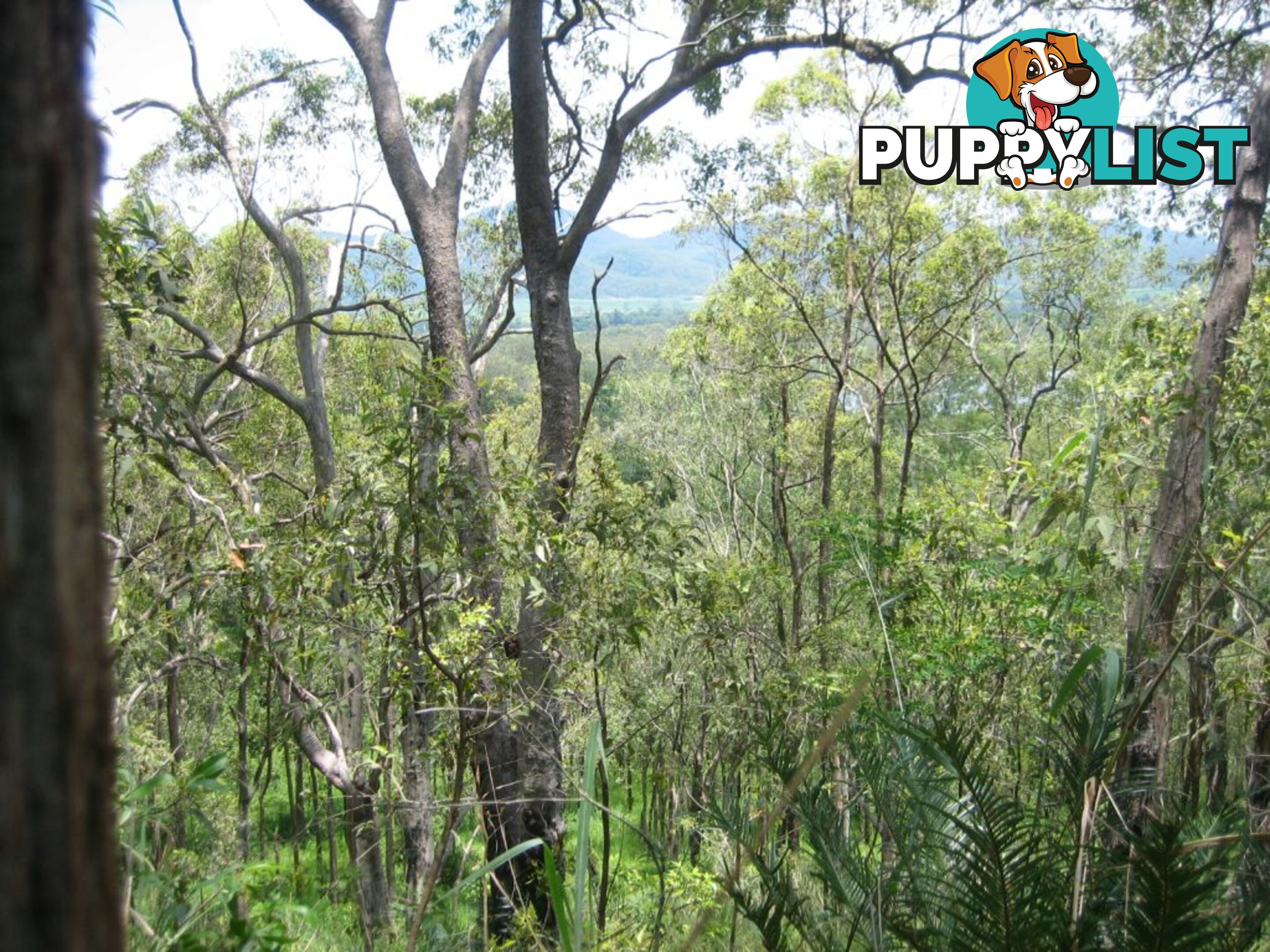 Lot 166 Woods Road DOWS CREEK QLD 4754