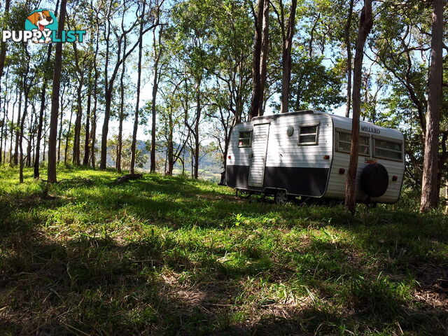 Lot 166 Woods Road DOWS CREEK QLD 4754