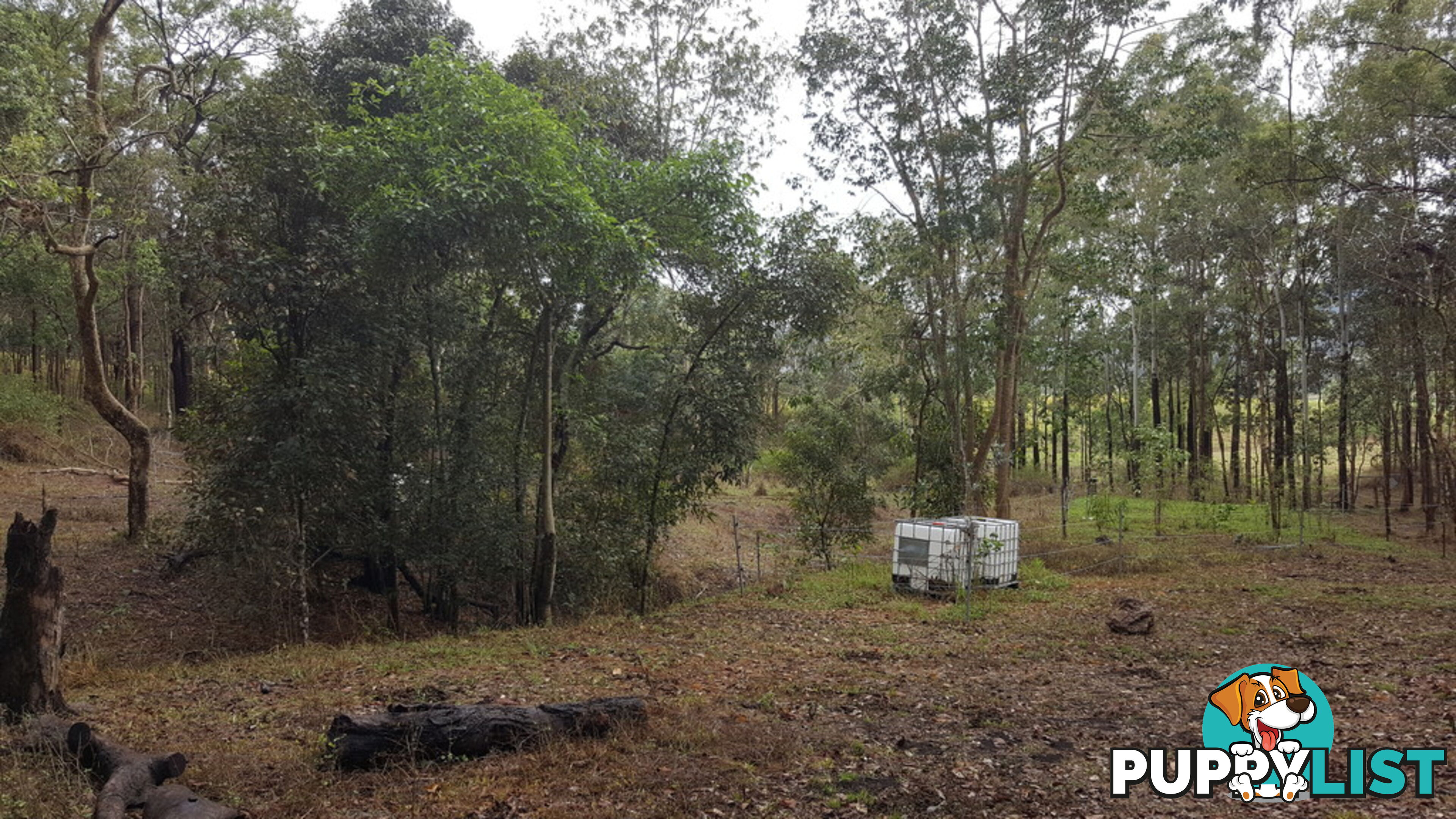 Lot 166 Woods Road DOWS CREEK QLD 4754