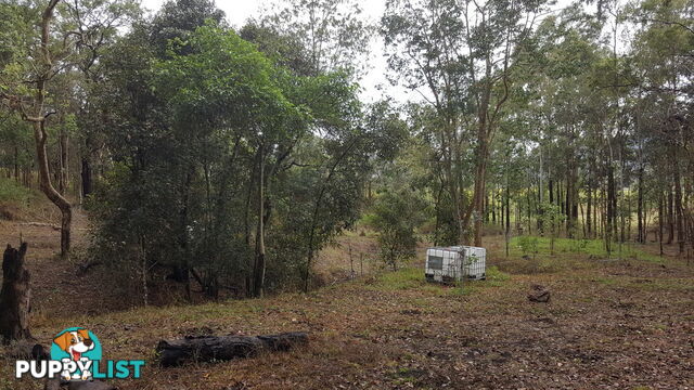 Lot 166 Woods Road DOWS CREEK QLD 4754