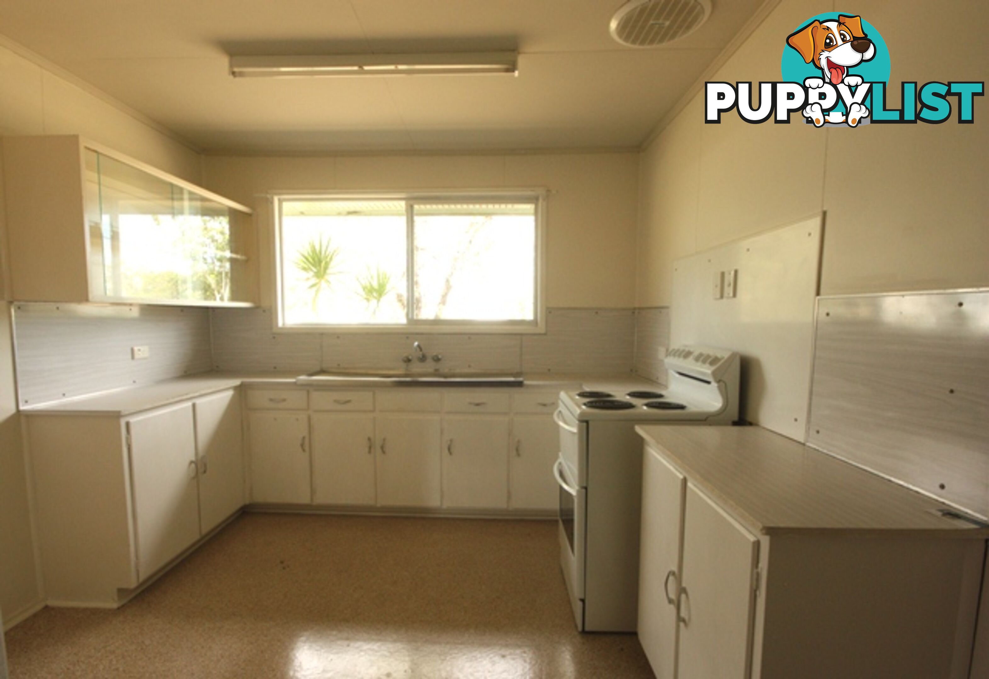 4 Purvis Court DYSART QLD 4745