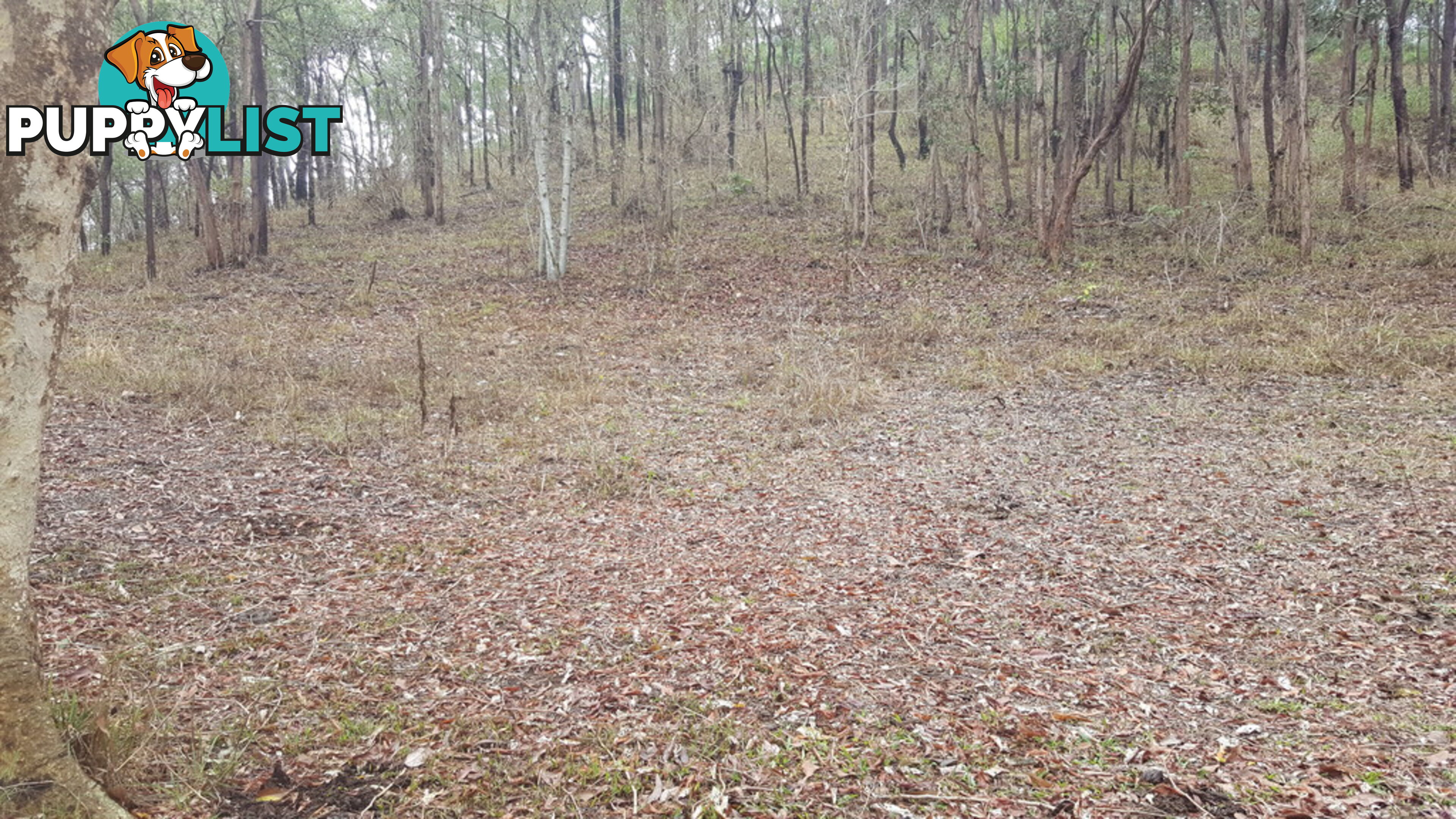 Lot 166 Woods Road DOWS CREEK QLD 4754