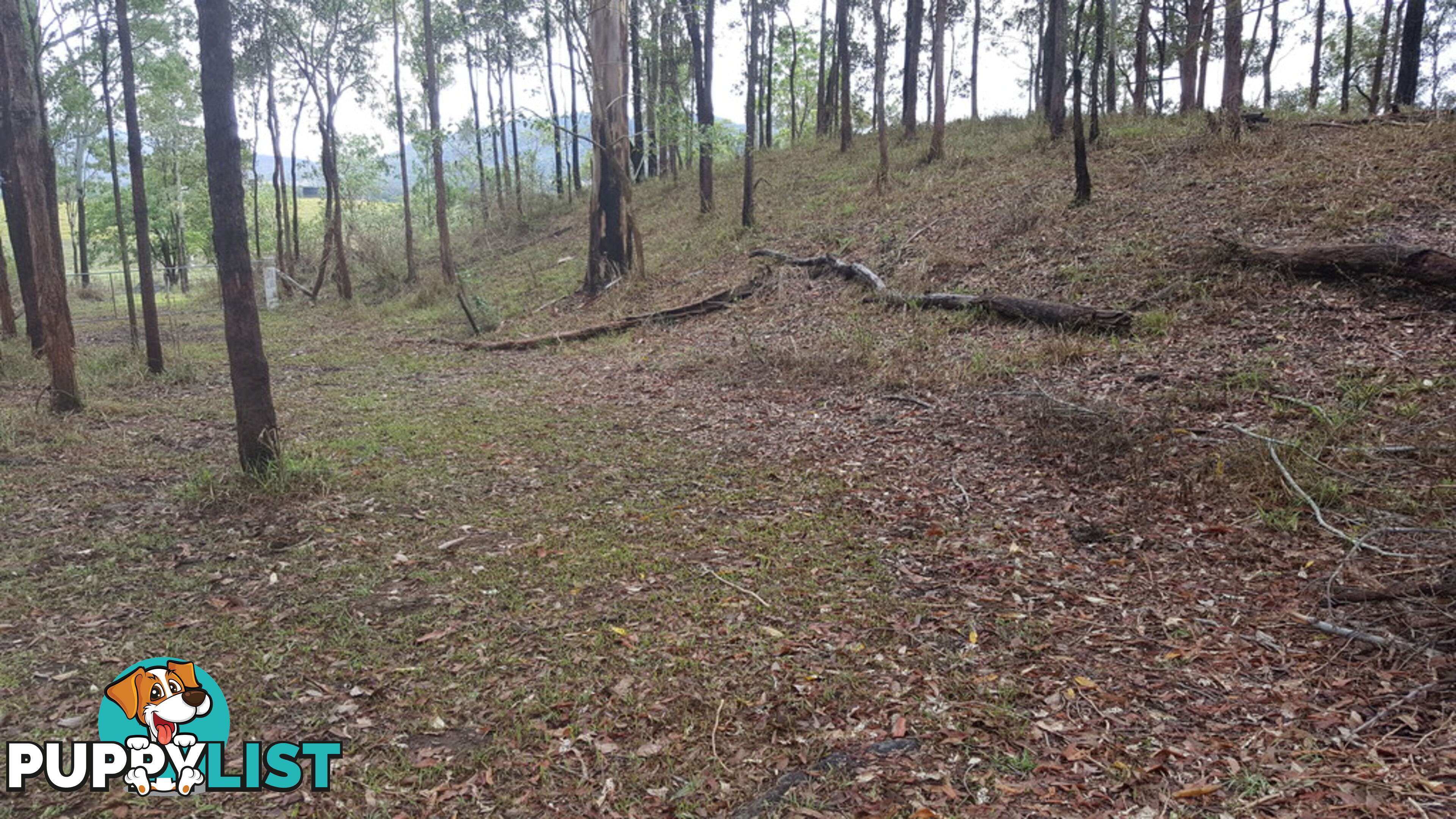 Lot 166 Woods Road DOWS CREEK QLD 4754