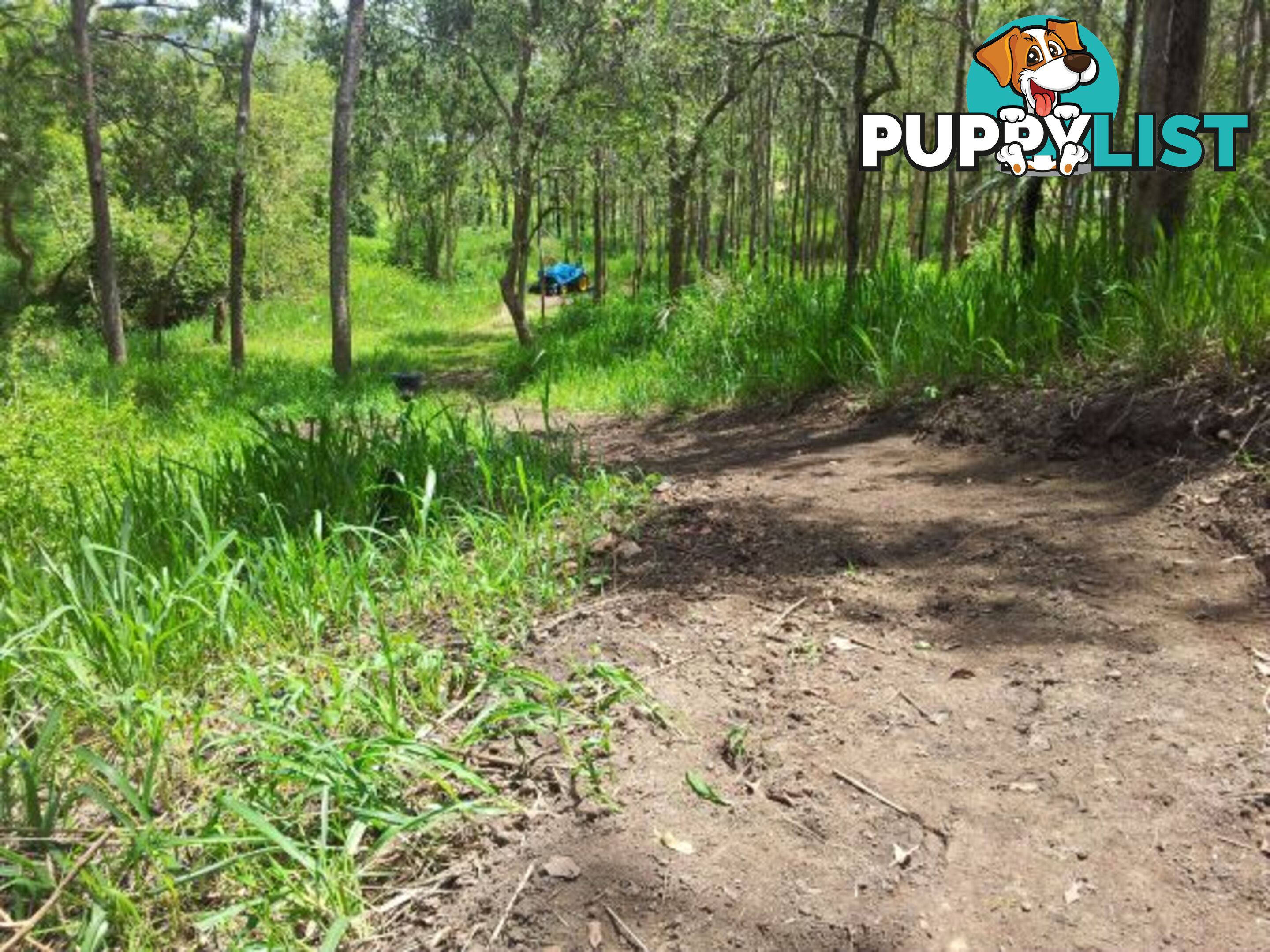 Lot 166 Woods Road DOWS CREEK QLD 4754