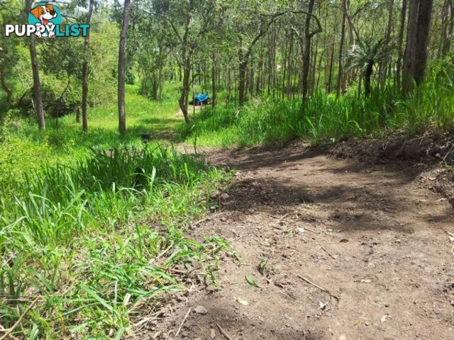 Lot 166 Woods Road DOWS CREEK QLD 4754