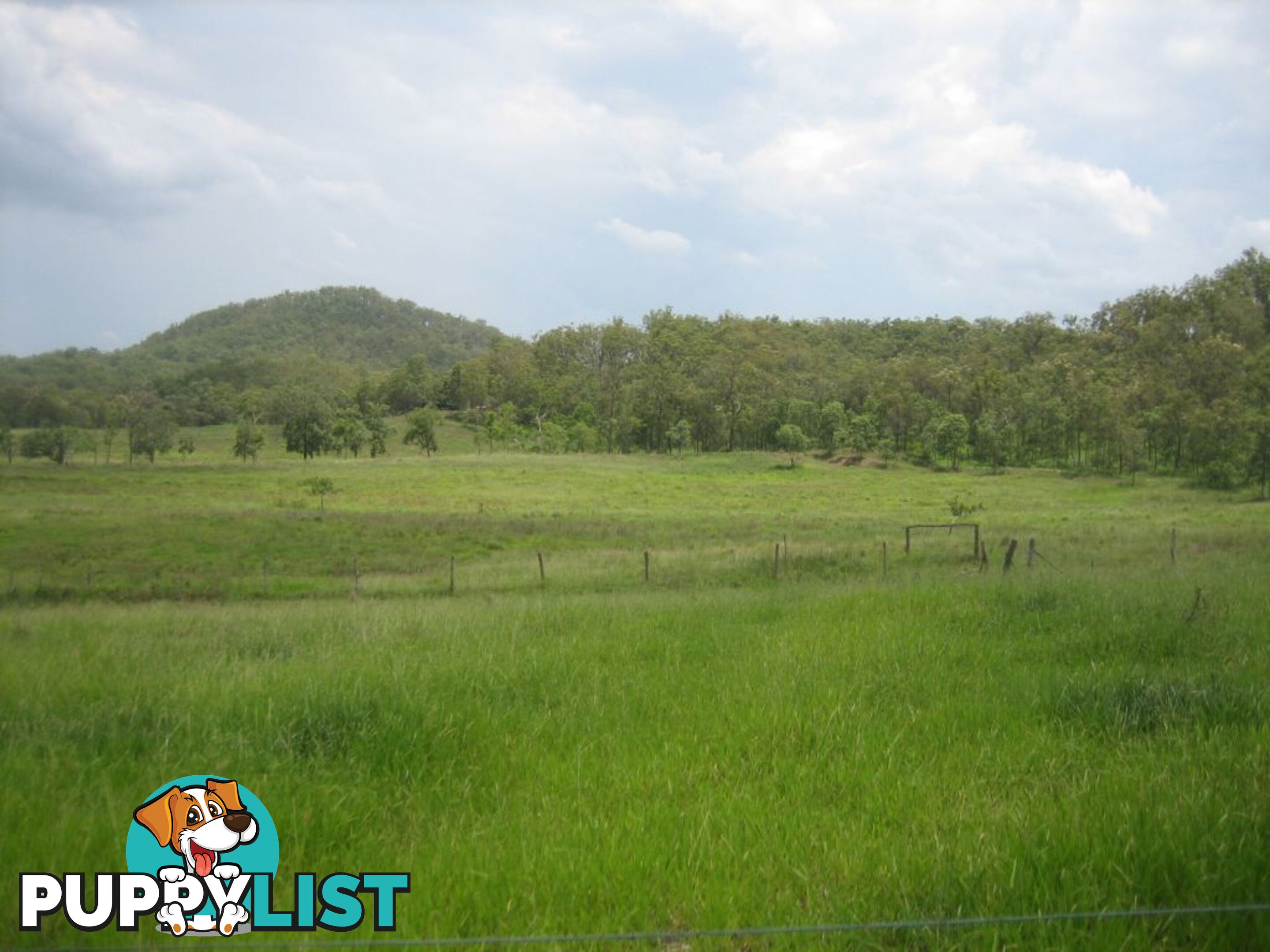 Lot 166 Woods Road DOWS CREEK QLD 4754