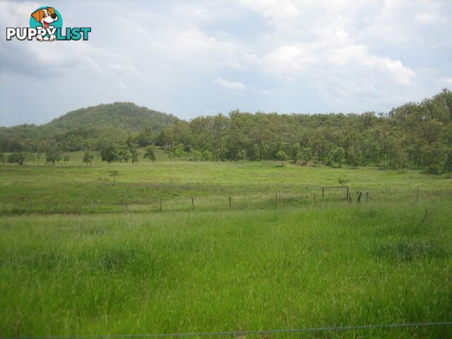 Lot 166 Woods Road DOWS CREEK QLD 4754