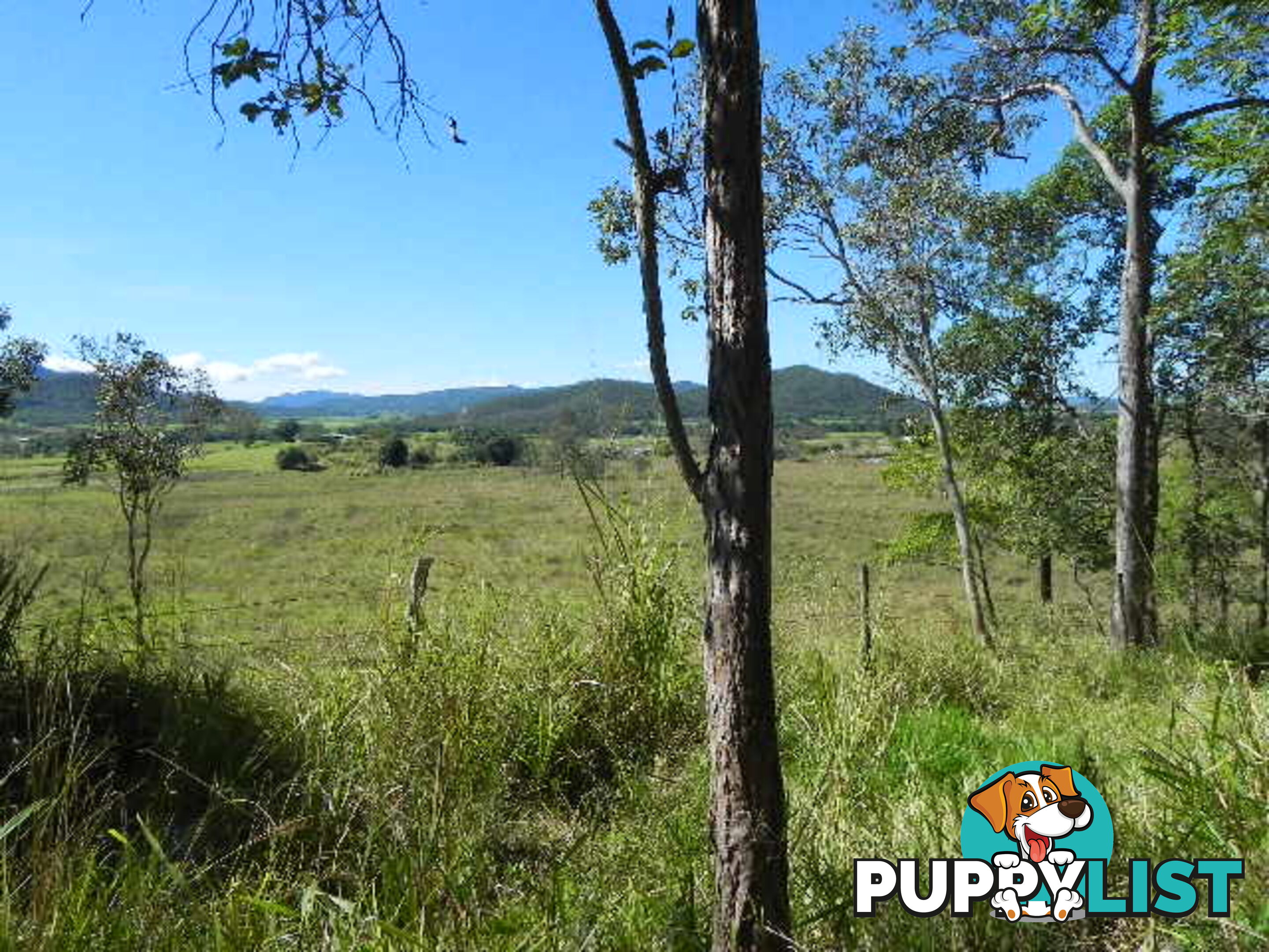 Lot 166 Woods Road DOWS CREEK QLD 4754