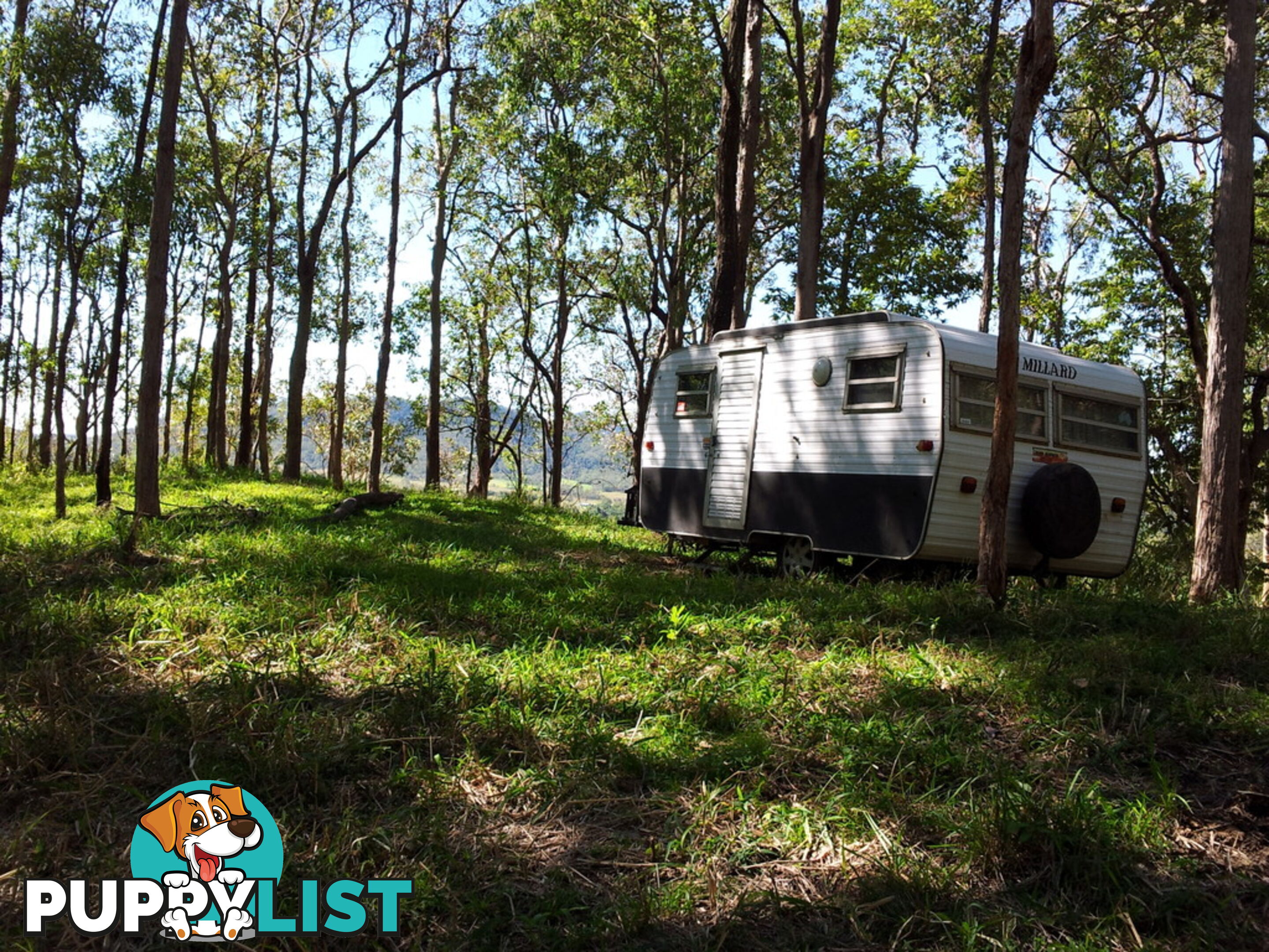 Lot 166 Woods Road DOWS CREEK QLD 4754