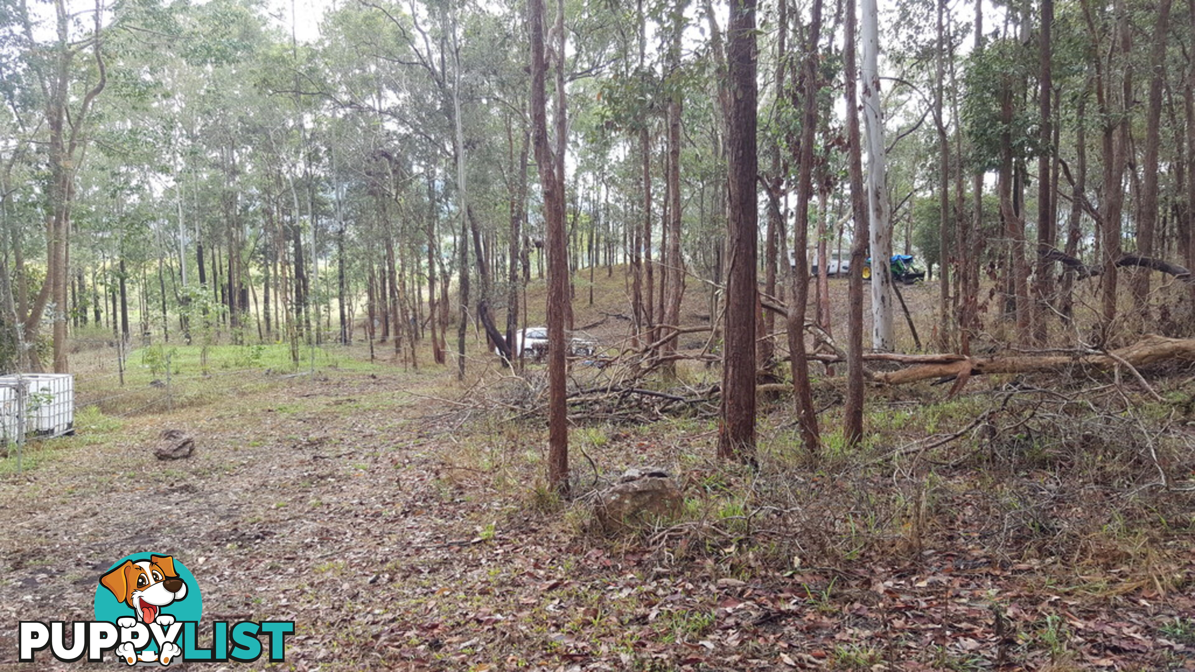 Lot 166 Woods Road DOWS CREEK QLD 4754