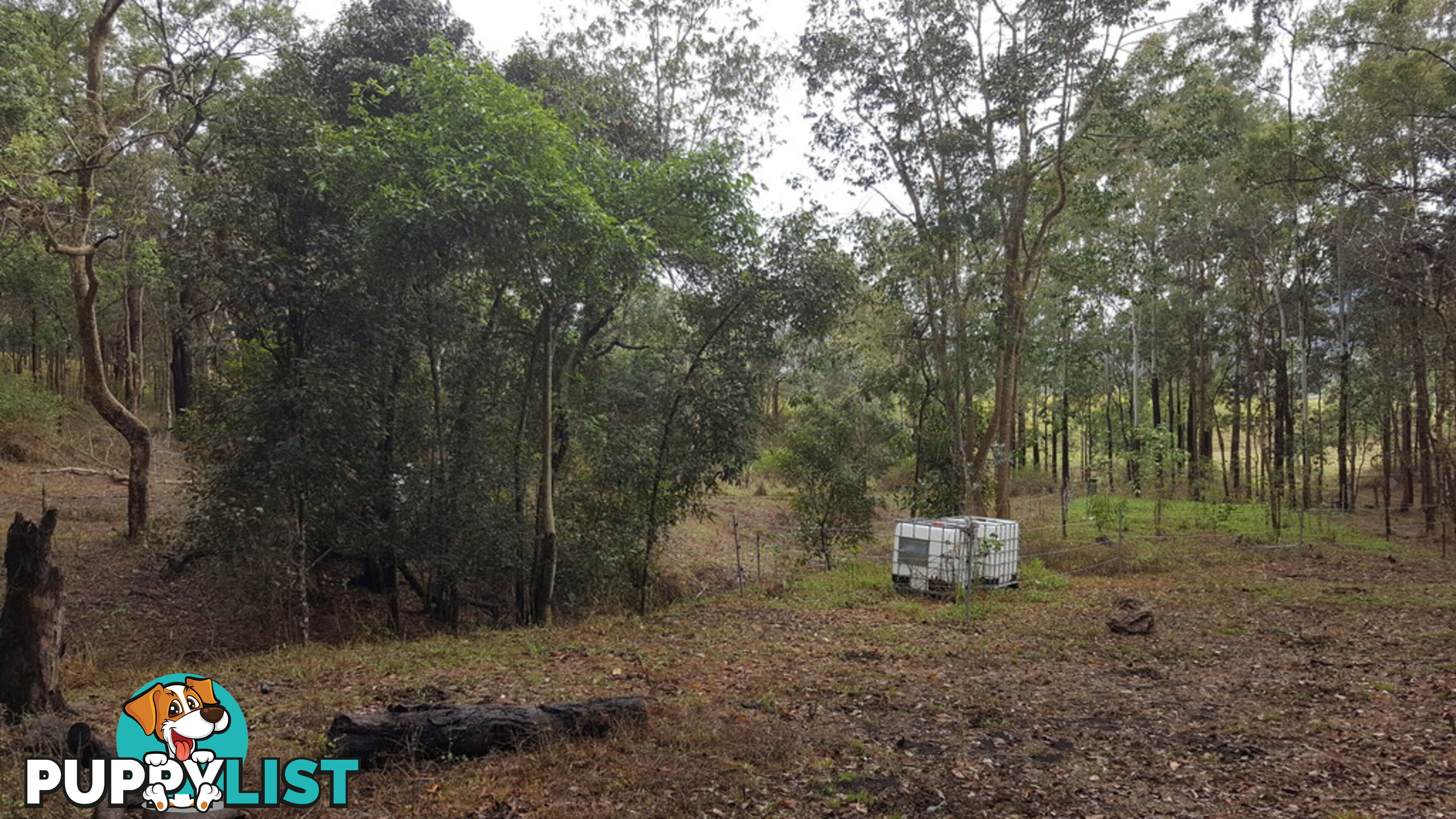 Lot 166 Woods Road DOWS CREEK QLD 4754