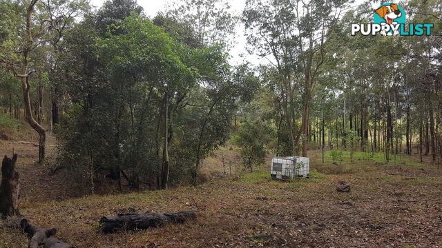 Lot 166 Woods Road DOWS CREEK QLD 4754