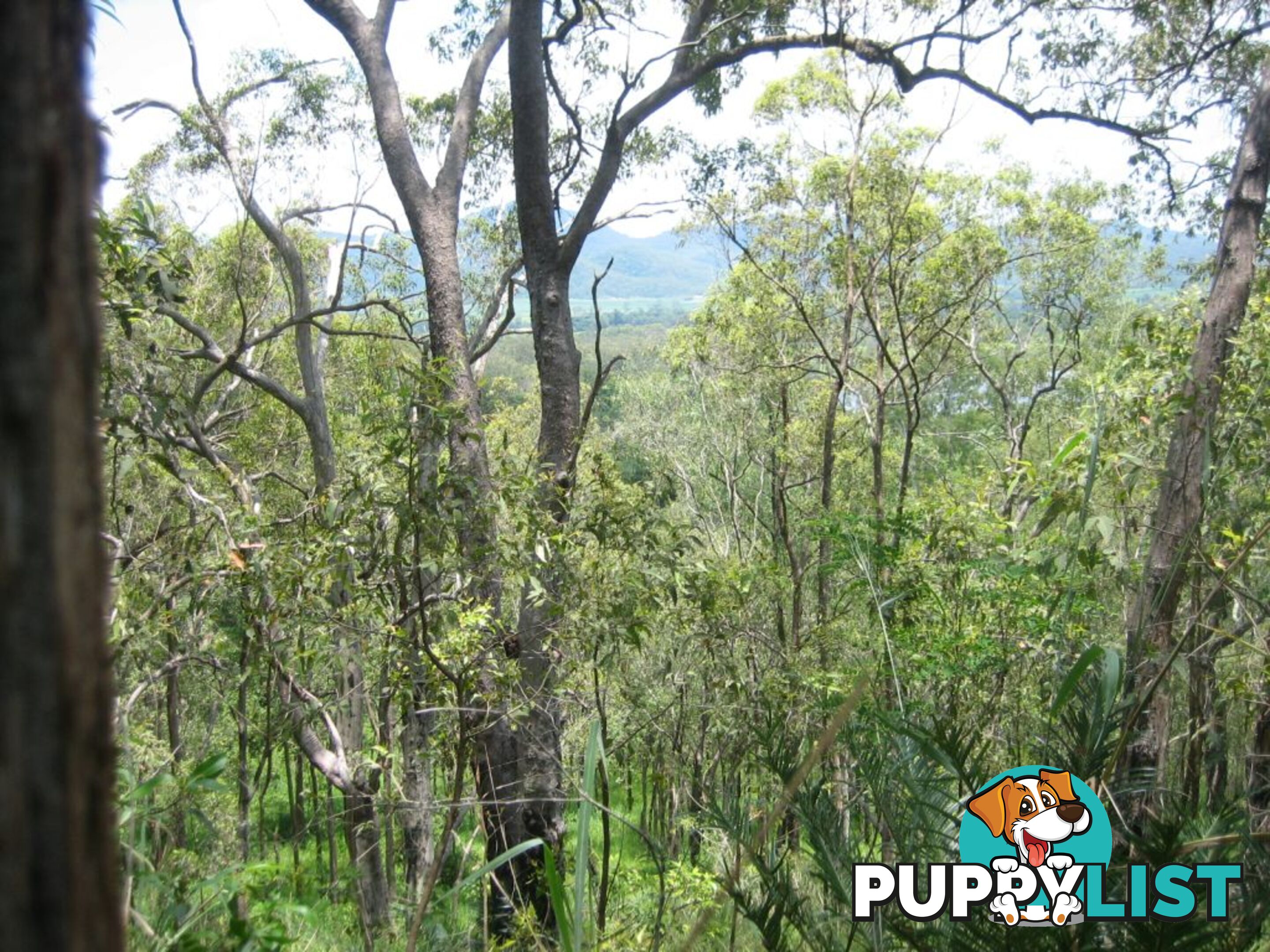 Lot 166 Woods Road DOWS CREEK QLD 4754