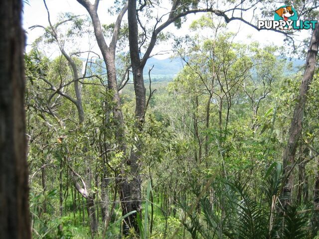 Lot 166 Woods Road DOWS CREEK QLD 4754