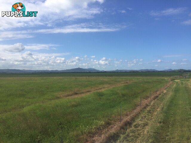 Lot 35 Kinchant Dam Road KINCHANT DAM QLD 4741