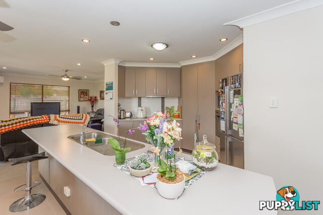 54 Sheedy Crescent MARIAN QLD 4753