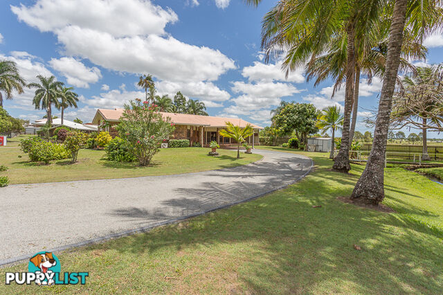 30 Andrew Milne Drive MOUNT PLEASANT QLD 4740