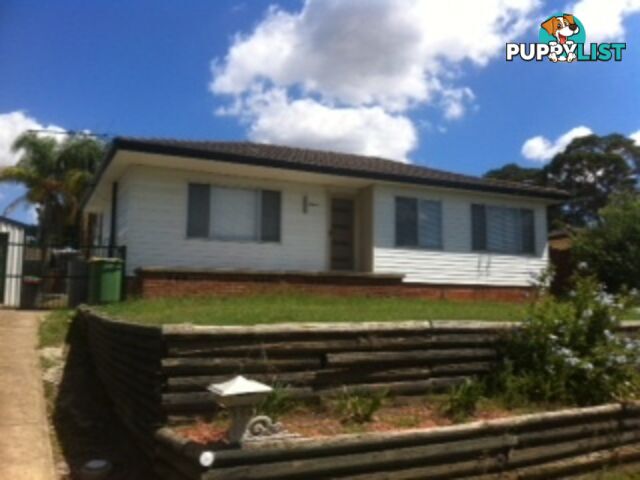 11 Valma Place Colyton NSW 2760