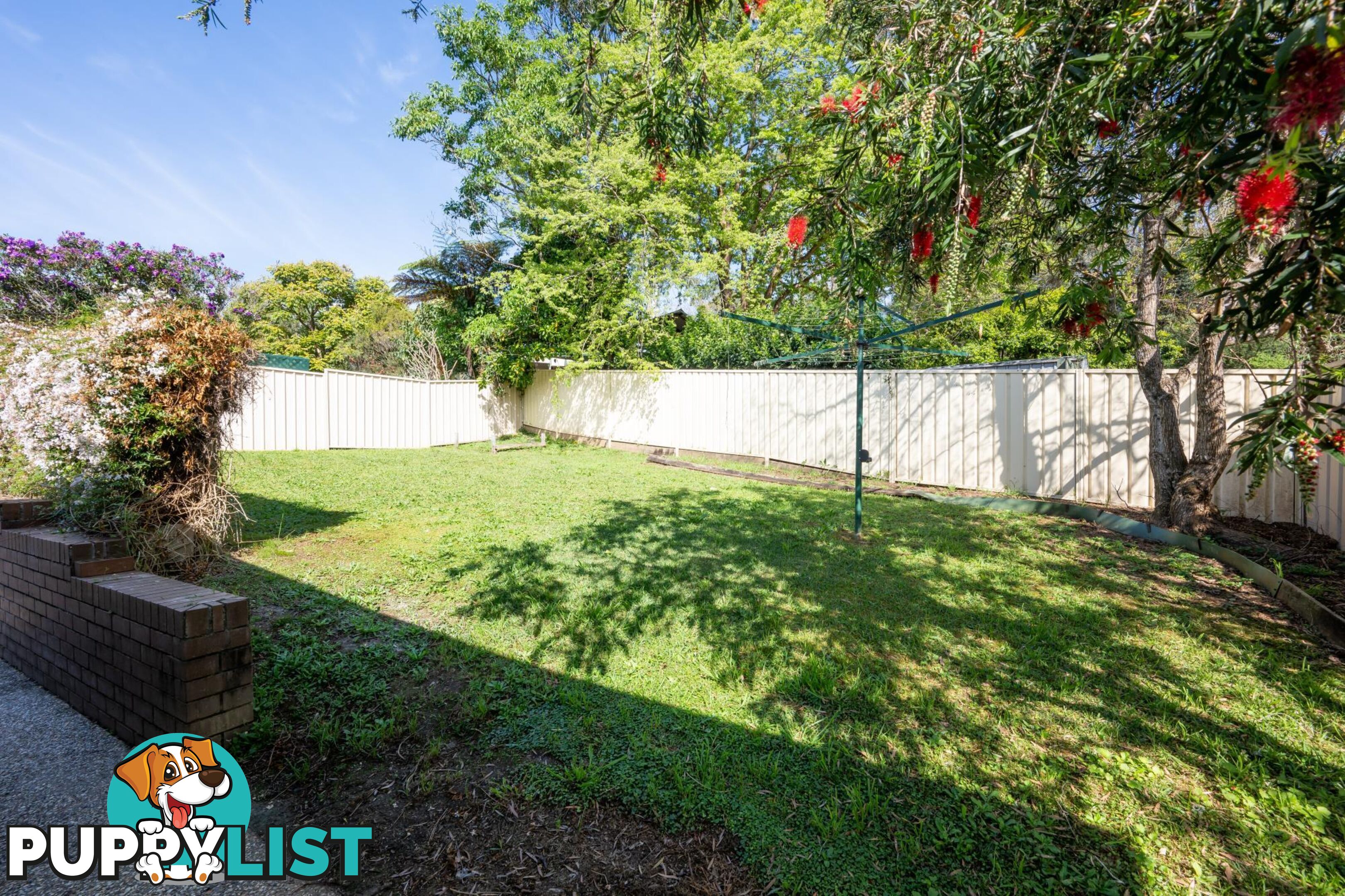 11 Kenny Close BELLINGEN NSW 2454