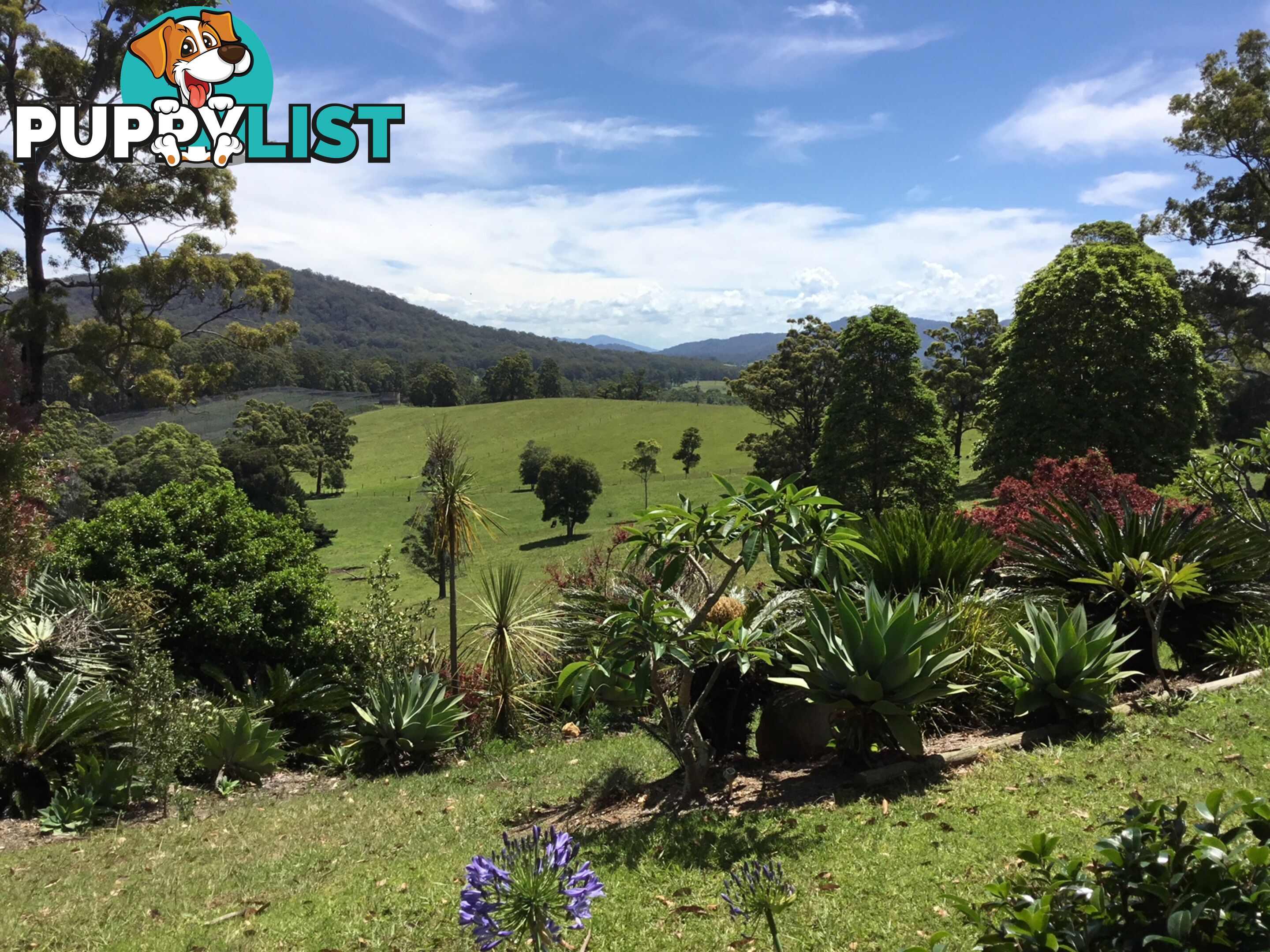 209 East West Road VALLA NSW 2448